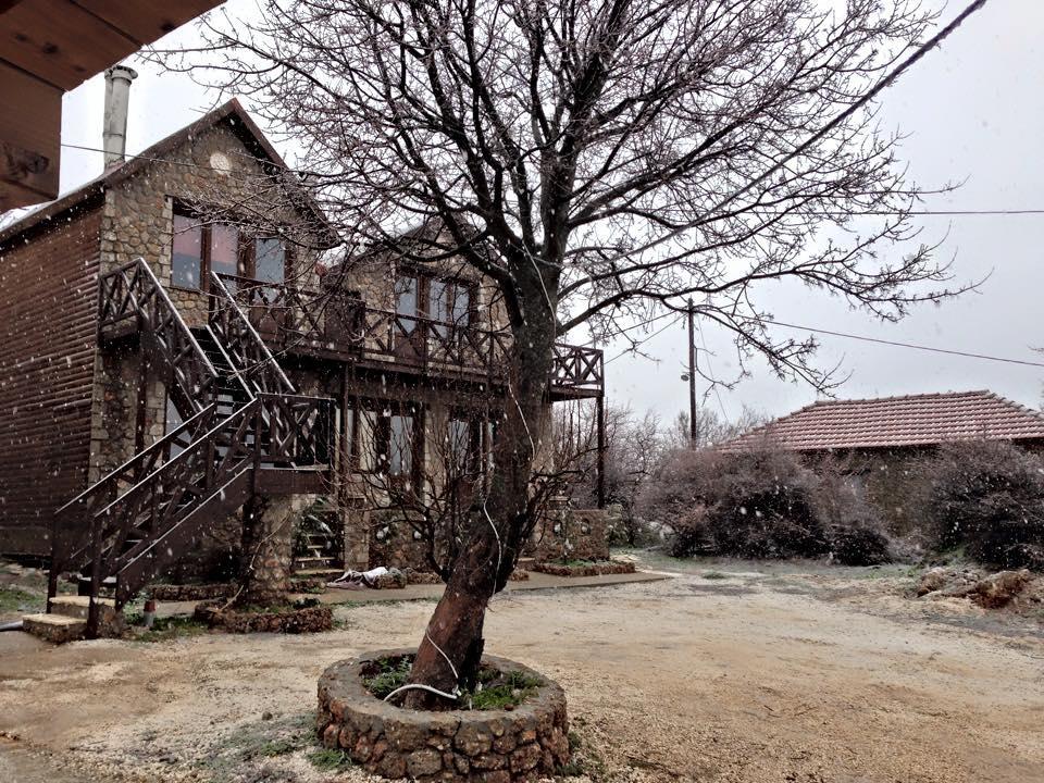 Anilia Guesthouse Синикия-Меси-Трикала Экстерьер фото